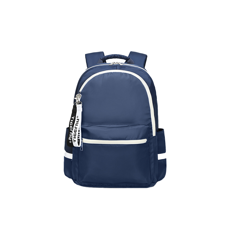 Tigernu T-B9030B Travel Laptop Backpack