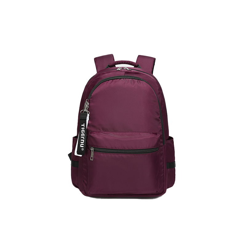 Tigernu T-B9030B Travel Laptop Backpack