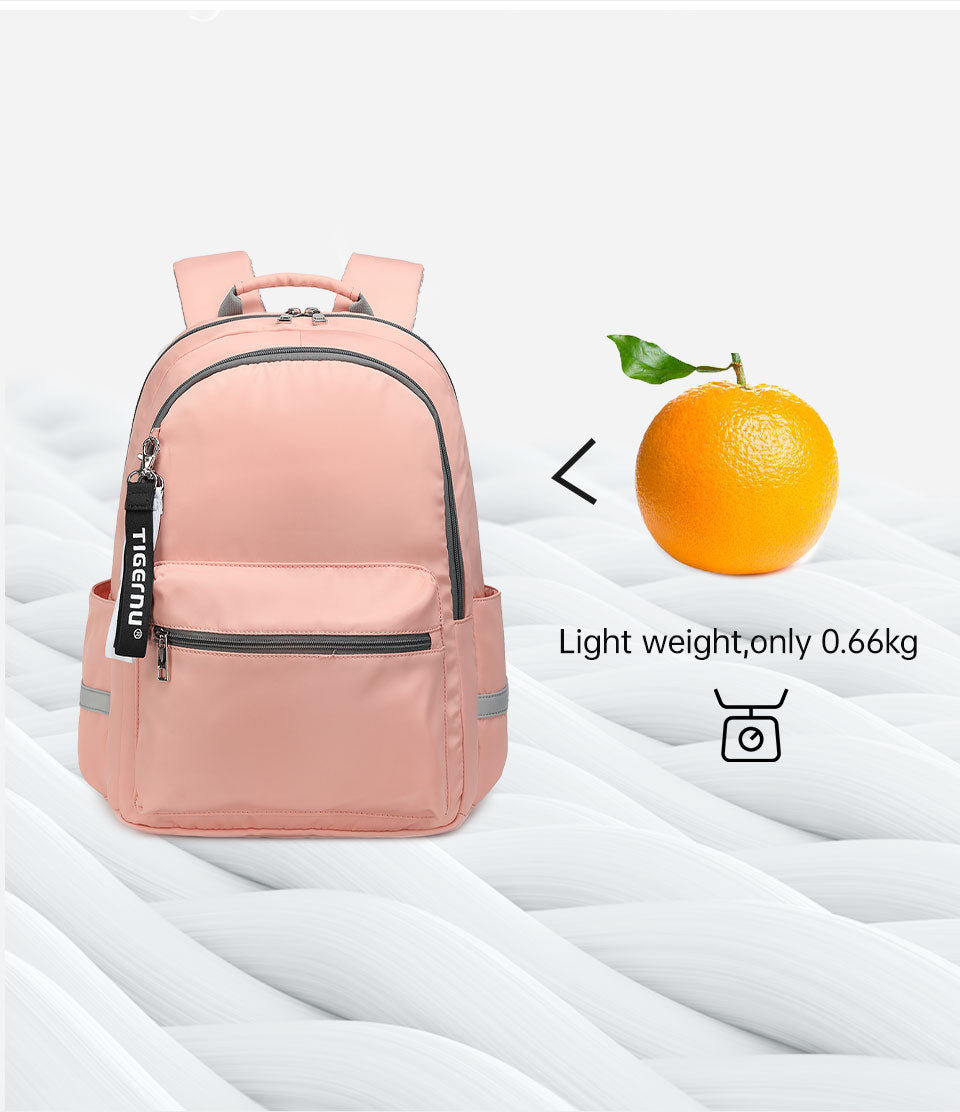 Tigernu T-B9030B Travel Laptop Backpack