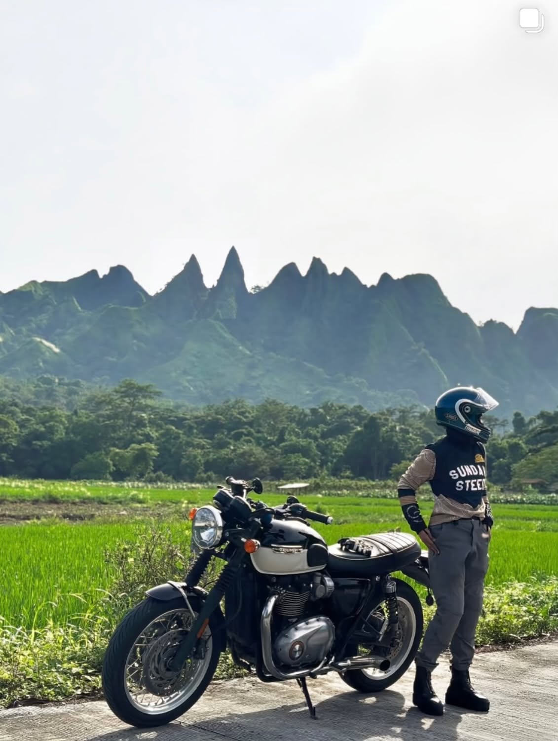 Sunday Steed Topo Jersey