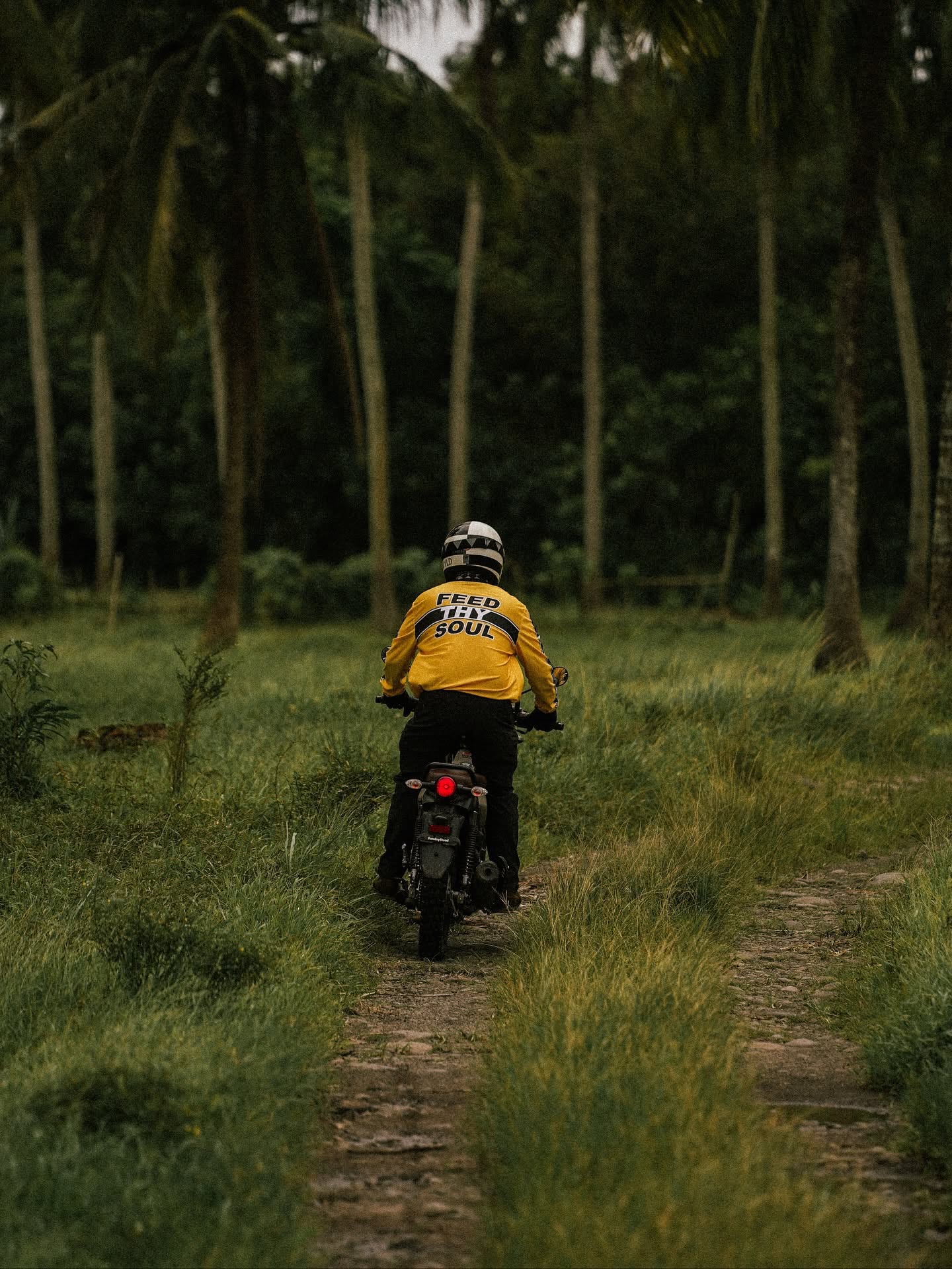 Sunday Steed Mojave Jersey