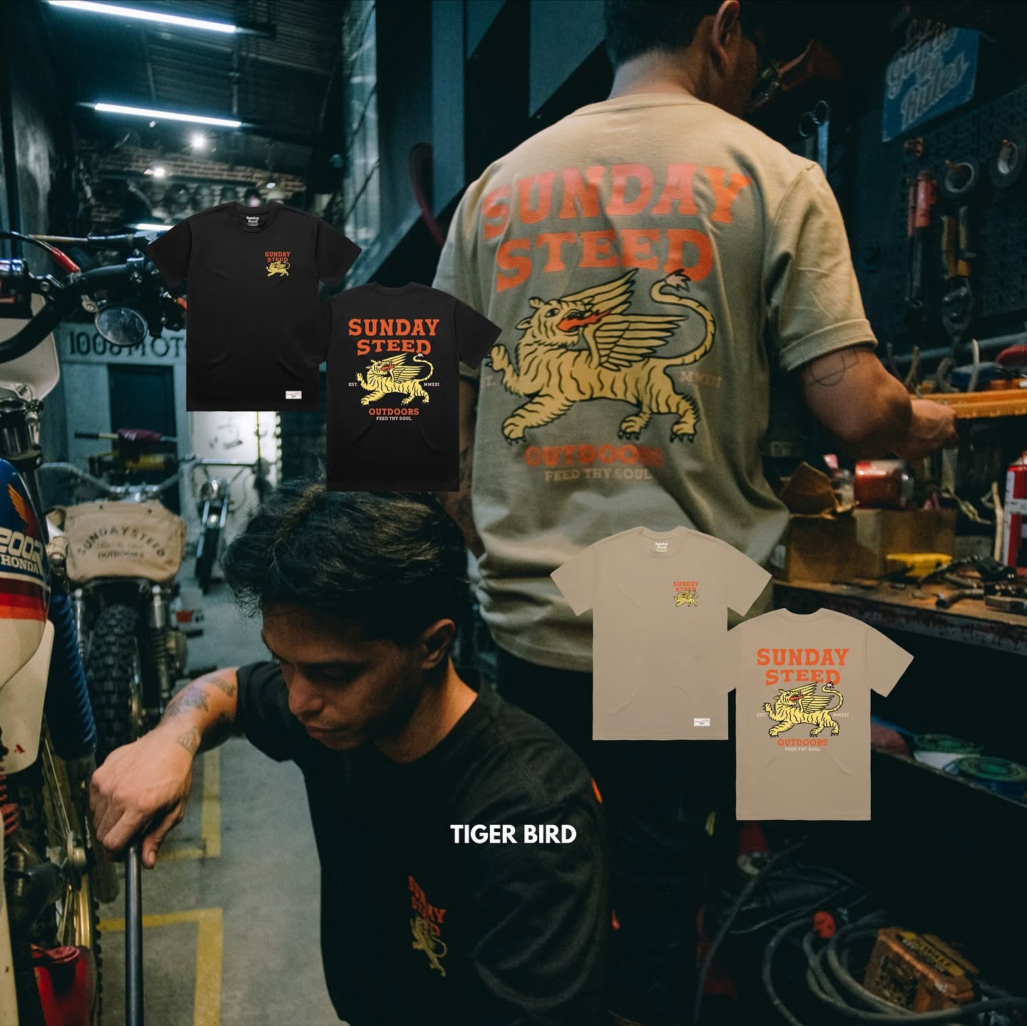 Sunday Steed Tiger Bird T-Shirt