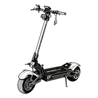 Electronic Scooter