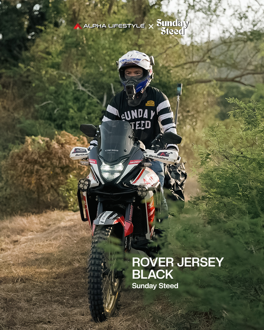 Sunday Steed Rover Jersey