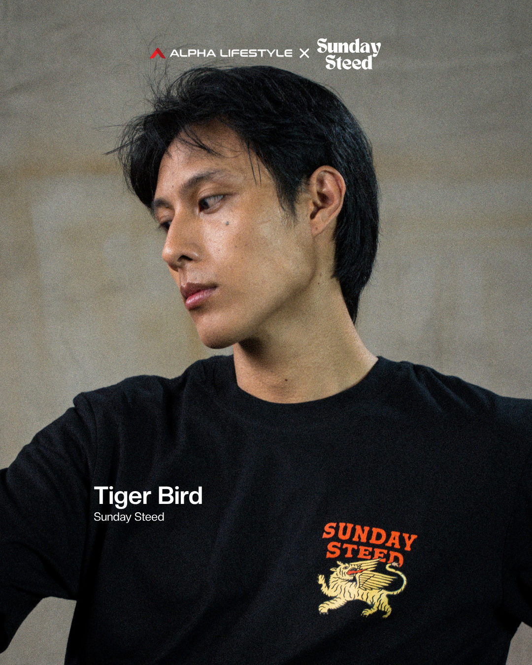 Sunday Steed Tiger Bird T-Shirt